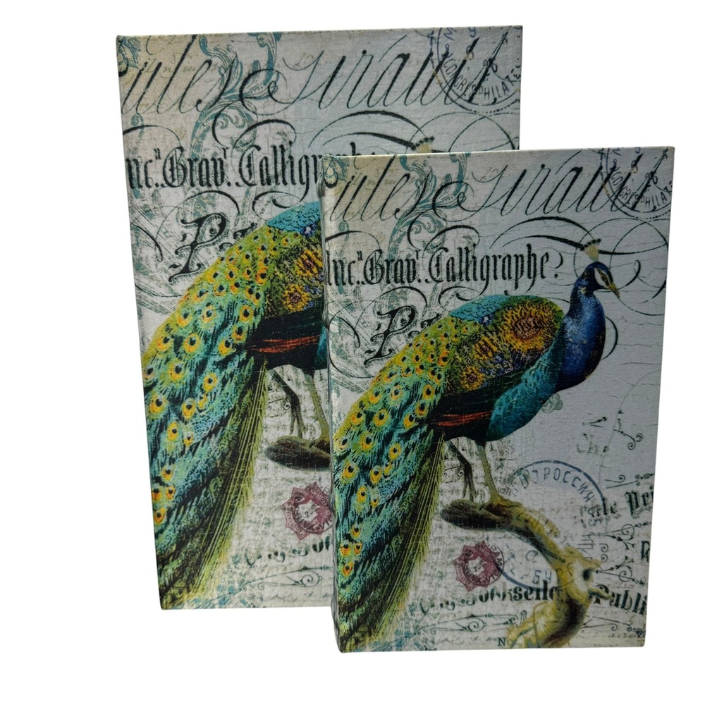 Vintage Peacock Calligraphy Decorative Book Boxes Set of 2 Hidden Storage Nested